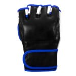 MMA Gloves