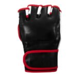 MMA Gloves