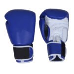 Muay Thai Gloves