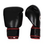 Muay Thai Gloves
